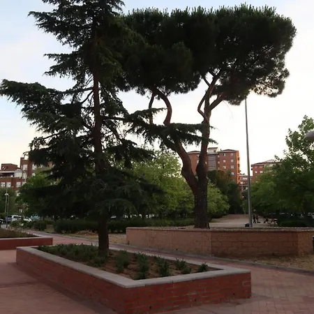 Ama Madrid Metropolitano 14-2
